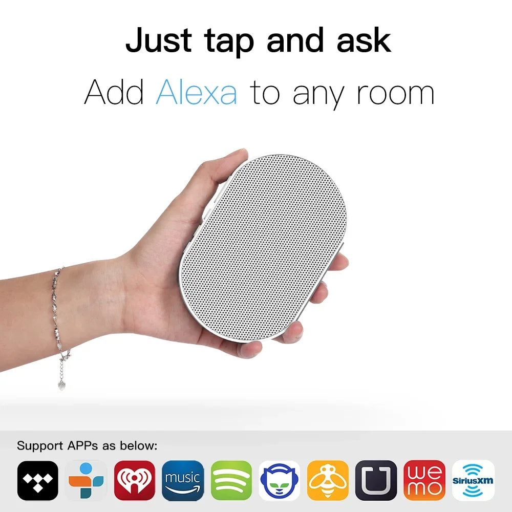 Bluetooth Wifi Alexa Smart Speaker Alice Wireless Portable Powerful 10W Voice Assitance Support Eudurable 15Hrs Playtime